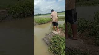 ನೆಟ್‌ಗಾಗಿ ಓಡುತ್ತಿರುವ ಸ್ಮಾರ್ಟ್ ಫಿಶ್!!!!!!