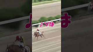 【競馬】変な馬名でドレミ　#shorts  #競馬 #動物