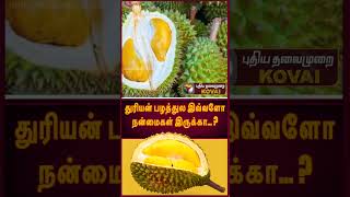 துரியன் பழத்துல இவ்வளோ நன்மைகள் இருக்கா... ? | Durian Fruit |