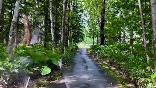 Farm of Hoshino Resort Tomamu @ Hokkaido. 在北海道星野度假村农场开高尔夫车游-2