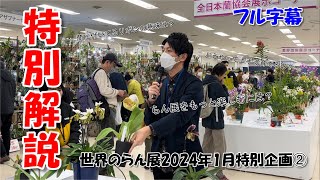 2月のあさイチに出演！洋ランとらん展のことがまるっと分かる！ランのプロ、清水氏による展示花特別解説編