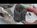 how to prep clay fossils fossil friday