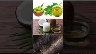 Dandruff பிரச்சனைக்கு இந்த மூலிகை மட்டுமே போதும் 😲 | natural Neem oil benifits #dandruffproblems