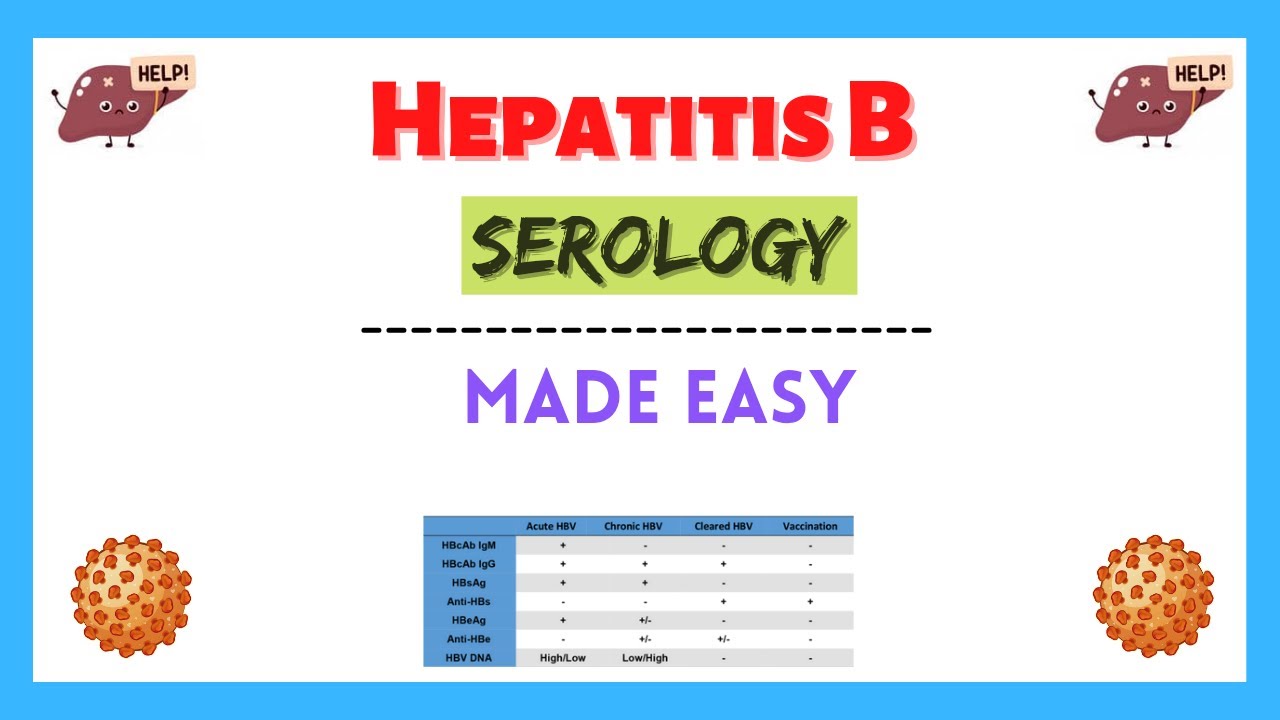 Interpretation Of Hepatitis B Serology