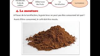 procédé de fabrication du café