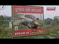 crocodile terror in kendrapara patkura man attacked by crocodile narrates the incident