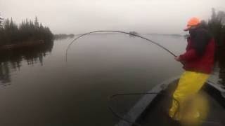 Eagle Lake Musky Fishing  Geno's Giant!!