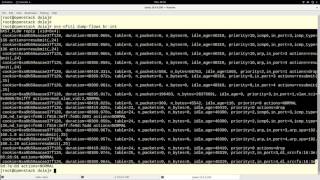 Basic Openstack Administration Part 11 - Openvswitch Use in Openstack (br-int, br-ex, br-tun)