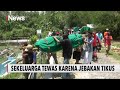 Gegara Jebakan Tikus, Sekeluarga Tewas di Persawahan - iNews Pagi 13/10