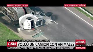 C5N - Tránsito: Volcó un camión con animales en la Au. Ezeiza - Cañuelas