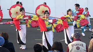 大賞受賞演舞 九十九里浜『荻組いぶき』さん　素晴らしいです☆／おみがわYOSAKOIふるさとまつり2019