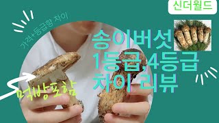 [신더월드] [송이버섯] 1등급과 4등급 향,맛 차이 리뷰! 흔치않은 송이버섯 [먹방] 건강을 생각하는 [신안마원]