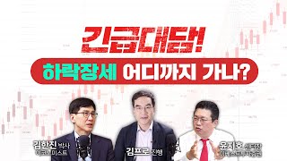 [긴급 대담] 하락장세, 어디까지 가나? f. 김한진, 윤지호, 김프로