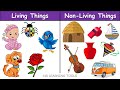 living things and non living things | Living and non living things for kids | What are living things