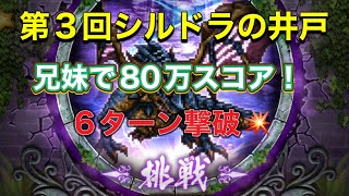 【ロマサガRS】第3回シルバードラゴンの井戸 兄妹で80万スコア＆6ターン撃破💥