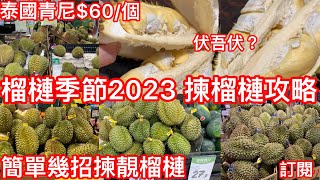 泰國青尼$60個 伏唔伏？｜榴槤季節2023 ￼揀榴槤攻略｜￼￼簡單幾招￼揀靚榴槤｜