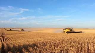 Gleeson Harvest Australia 2013. New Holland CR9090's