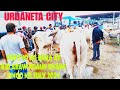 July 07, 2024 Update  Presyo ng Baka at Kalabaw sa Urdaneta City Livestock Market #livestockmarket