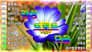 감성 트로트 모음  KPOP (TROT) 💃 PLAYLIST ( 꽃길.상사화.여인의 눈물.회룡포.바람길)