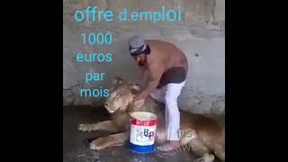 Offre d'emploi 1000 euros