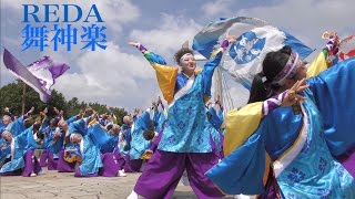 4K【REDA舞神楽】馬鹿になれ_大江戸ソーラン祭り_第2ステージ【2016年】