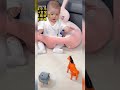 #shorts #baby #share #china #video #funny #tiktok #viral #cutebaby .