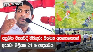 පසුගිය වසරේදී විසිතුරු මත්ස්‍ය අපනයනයෙන් ඇ. ඩො. මිලියන 24 ක ආදායමක්