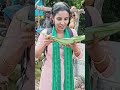 പനംകരിക്കിൻ്റെ രുചി അറിയാൻ പോയതാ hridyalalanddaughters palmfruit streetfood trending trend reels