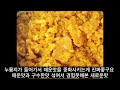 야식대발견 cu편의점 야식추천 top 5