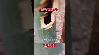 搞笑视频，在竹子里面放鞭炮