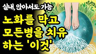 실내에서 앉아서도 가능한 이것 모든병을 치유하고 노화를 막는 이것 꼭 해보세요