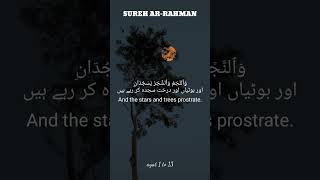 Sureh Ar-Rahman | recitation of The Holy Quraan in melodious voice of Shiekh Abdul Rahman Al-Sudais