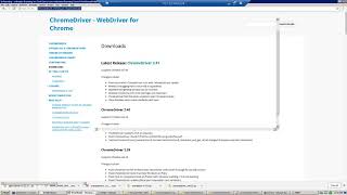 Selenium Webdriver Execute test in different browsers