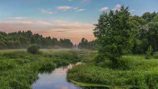 Aflevering 4: Ontspanningsoefeningen, Voeten optrekken