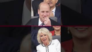 How Prince Harry Really Feels About Stepmother Camilla