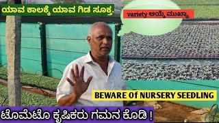 ಟೊಮೆಟೊ ಯಾವ ಸೀಸನ್ ನಲ್ಲಿ ಯಾವ ತಳಿ ಸೂಕ್ತ? Think 🤔 before tomato farming