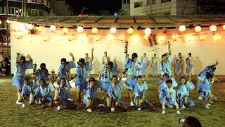 天舞連 @ 徳島阿波踊り (両国橋南おどり広場) 2019-08-12T19:45