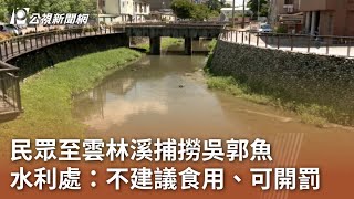 民眾至雲林溪捕撈吳郭魚 水利處：不建議食用、可開罰｜20240621 公視中晝新聞