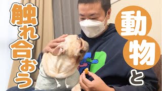 #159【さんぽ】動物と触れ合おう【サスペンダーズ】