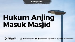 Hukum Anjing Masuk Masjid - Ustadz Kholid Syamhudi, Lc