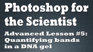 Using Photoshop CC to quantify band intensity in a DNA gel