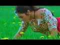 Ek Ladki Hai Ek Ladka Hai | Ajay Devgn | Tabu | Alka Yagnik | Udit Narayan | Haqeeqat