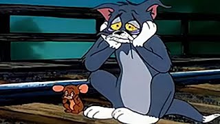 టామ్ and జెర్రీ లాస్ట్ లో ఎలా చనిపోయాయో తెలుసా 😭😭 | Why Tom And Jerry Show Stopped | Tom and Jerry