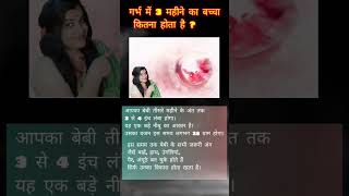 पेट में 3 महीने का बच्चा कितना बड़ा होता है? #shorts #viral #chandrakantavlog