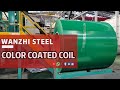 【PPGI Coil】-Green-Wanzhi Steel