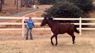 Margit Deerman and Rocky Demonstrate the Sideways Game