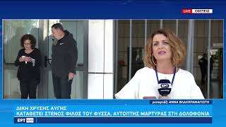 «Ήταν οργανωμένη η επίθεση, επιχείρησαν στοχευμένα»–Όσα κατέθεσε ο φίλος του Παύλου Φύσσα|24/10|ΕΡΤ