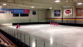 Synchro Stars in Hooksett exhibition