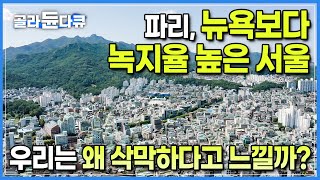 왜 내 주변엔 공원이 없지? 세계 어디에도 안 뒤쳐지는 서울시의 ‘녹지율’🌳그런데 왜 이렇게 도시가 삭막하게 느껴질까┃서울시 녹지율에 숨겨진 비밀┃다큐프라임┃#골라듄다큐