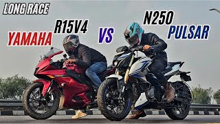 PULSAR N250 vs YAMAHA R15 V4 🔥 | Drag race